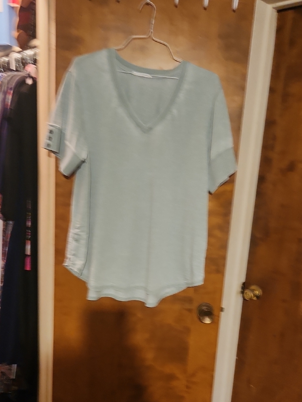 Relaxed V-Neck Short Sleeve Top in Light Mint